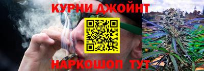прущие крисы Гай