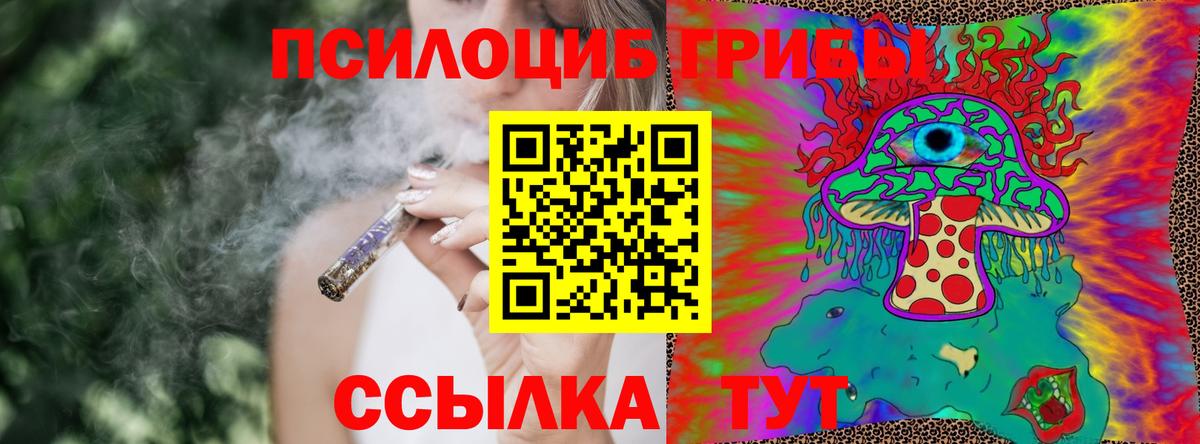 Назарово  Галлюциногенные грибы Psilocybine cubensis  Вход с VPN  Галлюциногенные грибы Cubensis 