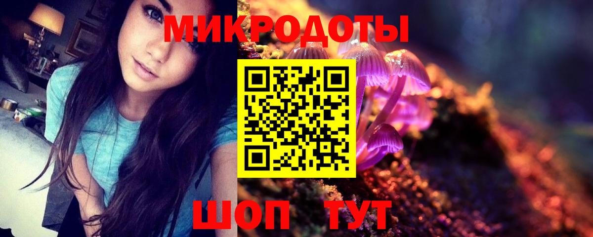 Псилоцибиновые грибы Psilocybine cubensis Назарово